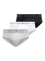 Tommy Hilfiger Underwear Vyriškos kelnaitės tamsiai mėlyna jūros spalva / pilka / raudona / juoda / balta