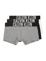 Calvin Klein Underwear Apatinės kelnaitės margai pilka / juoda / balta