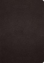 ESV Study Bible, Large Print (Buffalo Leather, Deep Brown)