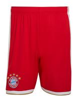 ADIDAS PERFORMANCE Sportinės kelnės 'FC Bayern München 26/27' kupranugario / azuro spalva / raudona / balta