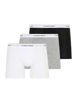 Calvin Klein Underwear Boxer trumpikės akmens / juoda / balta