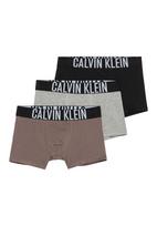 Calvin Klein Underwear Apatinės kelnaitės šokolado spalva / pilka / juoda