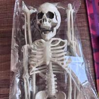 Halloween Human Skeleton Full Body Prop, Realistic Skull Bones for Haunted House, Scary Party Decorations Upgraded skull skeleton 170cm