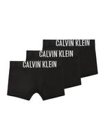 Calvin Klein Underwear Apatinės kelnaitės juoda / balta