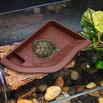 Akvariumo dekoracija su maudymosi zona vėžliui ir barzdotajam dragonui Brownish Yellow brown