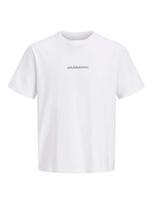 JACK & JONES Marškinėliai 'JCOEcho' abrikosų spalva / juoda / balta