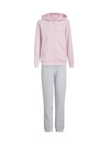 ADIDAS SPORTSWEAR Treniruočių kostiumas 'ESSENTIALS' margai pilka / rožių spalva / balta