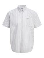 Jack & Jones Junior Marškiniai 'JJDevin' pastelinė žalia / balta