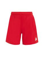 ADIDAS PERFORMANCE Sportinės kelnės 'Entrada26' raudona / balta