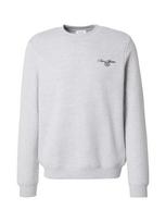 DAN FOX APPAREL Megztinis be užsegimo 'Cem' pilka