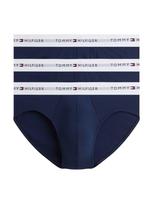Tommy Hilfiger Underwear Vyriškos kelnaitės tamsiai mėlyna / pilka / ryškiai raudona / balta
