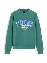 Tommy Jeans Megztinis be užsegimo 'Varsity Crest' sodri mėlyna („karališka“) / geltona / žalia / balta