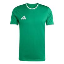 ADIDAS PERFORMANCE Sportiniai marškinėliai 'Entrada26' žalia