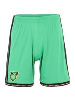 ADIDAS PERFORMANCE Sportinės kelnės 'JFF' geltona / šviesiai žalia / raudona / juoda