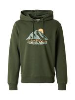 JACK & JONES Megztinis be užsegimo 'JJSun' medaus spalva / nefrito spalva / tamsiai žalia