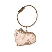 Yousheng Cat Hair Storage Bottle Transparent Pet Fur Keepsake Keychain for Collecting Cat And Dog Hair Pet Memorial Gift B brown