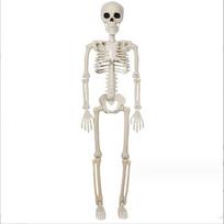 Plastic Halloween Human Skeleton 40CM Bone Model Scary Pumpkin Skull  Outdoor Indoor Skeleton