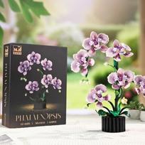 Phalaenopsis Statybiniai Blokeliai Orchidėja Amžina Gėlė Augalas Cymbidium Modelis Surinkti Plytų Ornamentai Žaislai Namų Dekoravimui No Box white
