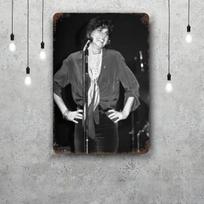 Linda ronstadt Retro Vintažinis skardinis ženklas Plakatas Dekoratyvinė plokštelė Metalo plokštė Sienų dekoras 20x30cm（7.8x11.8inch） gray