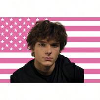 Omar Rudberg Pink American Flag Tapestry Young Royals Fan Wall Hanging Aesthetic Bedroom Dorm Decor 74x94cm(29x37in) pink