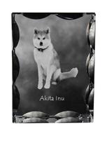 Akita, Akita Inu - crystal with a picture of a dog, glass statuette with a picture, unique frame with a picture from Art-Dog brand skaidri
