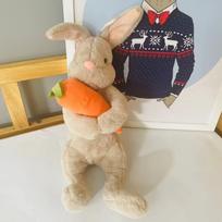 Year of the Rabbit mascot cartoon hug carrot rabbit doll little white rabbit plush toy doll gift Medium 23cm black