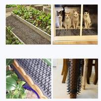 1vnt Cat Kilimėliai Anti-Cat Garden Gatos Dogs Atbaidymo Kilimėlio stimuliavimo juostelės beige