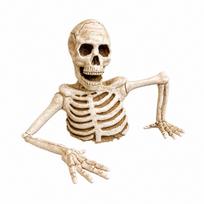 Half Body Skeleton Decoration for Halloween,Indoor Outdoor Yard Decor Prop One Size beige