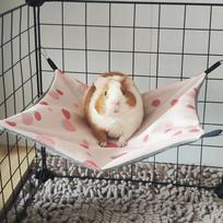 Lovely Double-sided Guinea Pig Hammock Ice Silk Skin-Friendly Hamster Hammock 4 Hooks Breathable Small Pet Supplies white