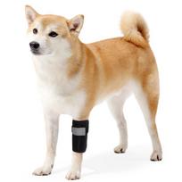 Dog Front Leg Knee Brace 1PC Adjustable Front Leg Support Wrap for Injury Recovery Arthritis Joint Protection Pet Knee Pad S juoda