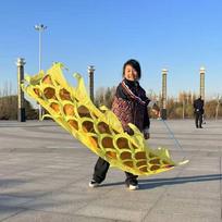Fitness Dragon Dance Waving Ribbon with Pole yellow