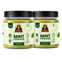 Nairuti Vyutpadan Mint Powder (Pudina Powder) 400g | 100% Pure Natural Mint | Refreshing Aroma for Tea, Chutneys, Raita, Snacks & Beverages