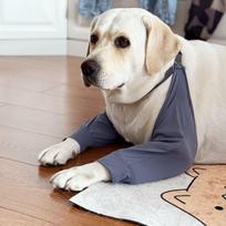 Didelio šuns priekinės kojos apsauginis movas Ledo šilko alkūnės apsauga Labradoras Nešioti Apsauga nuo įbrėžimų Patogus prigludimas M Fits dogs up to 40 lbs gray