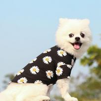 Pet T Shirt Short Sleeve For Small Medium Dogs Spring Summer Autumn XS juoda