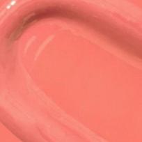 TAG Dewy Melting Balm 2.8g – Moisturizing Glossy Lip Balm | 3 Shades 01 Coral Fizz brown