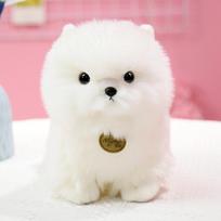 Simuliacinis šuo meškiukas šuo lėlė pliušinis žaislas mažas baltas šuo Pomeranijos šuo lėlė vaikiška raminanti pagalvė skudurinė lėlė 23cm（0.2kg） balta
