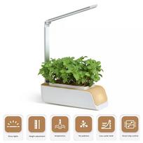 Hidroponinės auginimo sistemos sodinimo rinkinys Reguliuojamas LED Grow Lights Protingas sodo žolelių namas EU Plug green