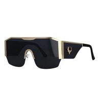 53016 Oversized Square Luxury Sunglasses Brand Designer Fashion Men Women Shades Uv400 Vintage Glasses 53016 gray