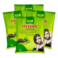 Sunny Henna Powder With Arnica, Bhringraj & Herbal Conditioner For Natural Hair Colour, 100 gm Pack of 4 green