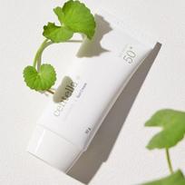 MIXSOON Centella Sunscreen SPF50+ PA++++ 50g – Soothing UV Protection & Hydrating Daily Sun Cream gray
