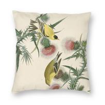 American Goldfinch John Audubon Square Pillowcase Polyester Linen Velvet Creative Zip Pillow Case Sofa Seater Cushion Cover Peach skin 18*18(CM)-1Pcs beige