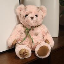 Cute bear teddy bear doll plush toy hug bear doll children rag doll girl birthday gift 25cm（0.2kg） rožinė