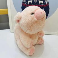 Cute Shiba Inu fat dumplings accompany animals squatting green dinosaur penguin doll plush toy birthday playmate Medium 35cm beige