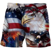 Men's Swimwear Shorts American Flag 3d Surfing Board Short Kids Beach Shorts Men Trunk USA Flag Swimsuit Sports Pants Briefs Boy S gray