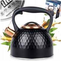 Virdulys STEEL, juodas, 2,5 l, tinka dujinėms ir indukcinėms viryklėms
