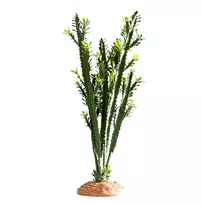 HOBBY „Euphorbia“ dekoracija terariumui