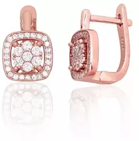 Diamond Sky Jewelry Sidabriniai auskarai su cirkoniais „Akmeninė Gėlė VI“