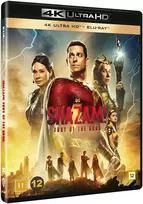 Warner Bros Shazam! Dievų įniršis
