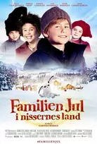 Šeimos Kalėdos: Elfų šalyje (DVD)