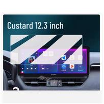 12,3  Automobilio stereosistemos navigacijos ekrano apsauginė plėvelė, Anti-glare plėvelė modifikuotai centrinei konsol ei Flexible Tempered Full Screen